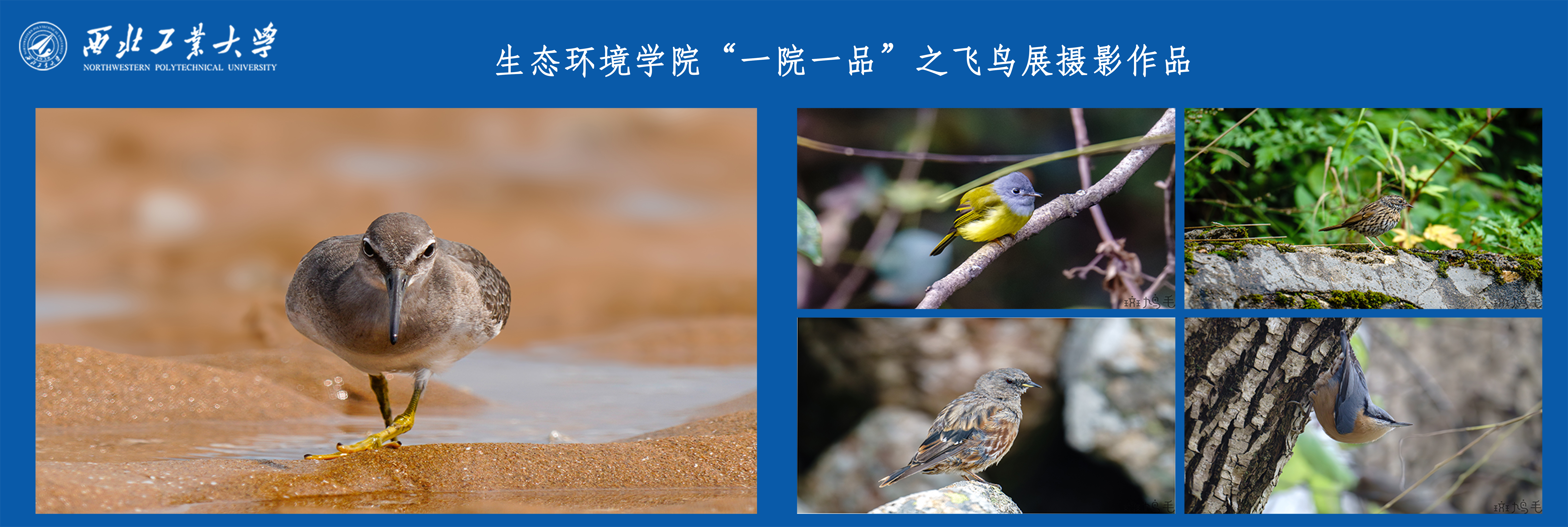 百家乐论坛